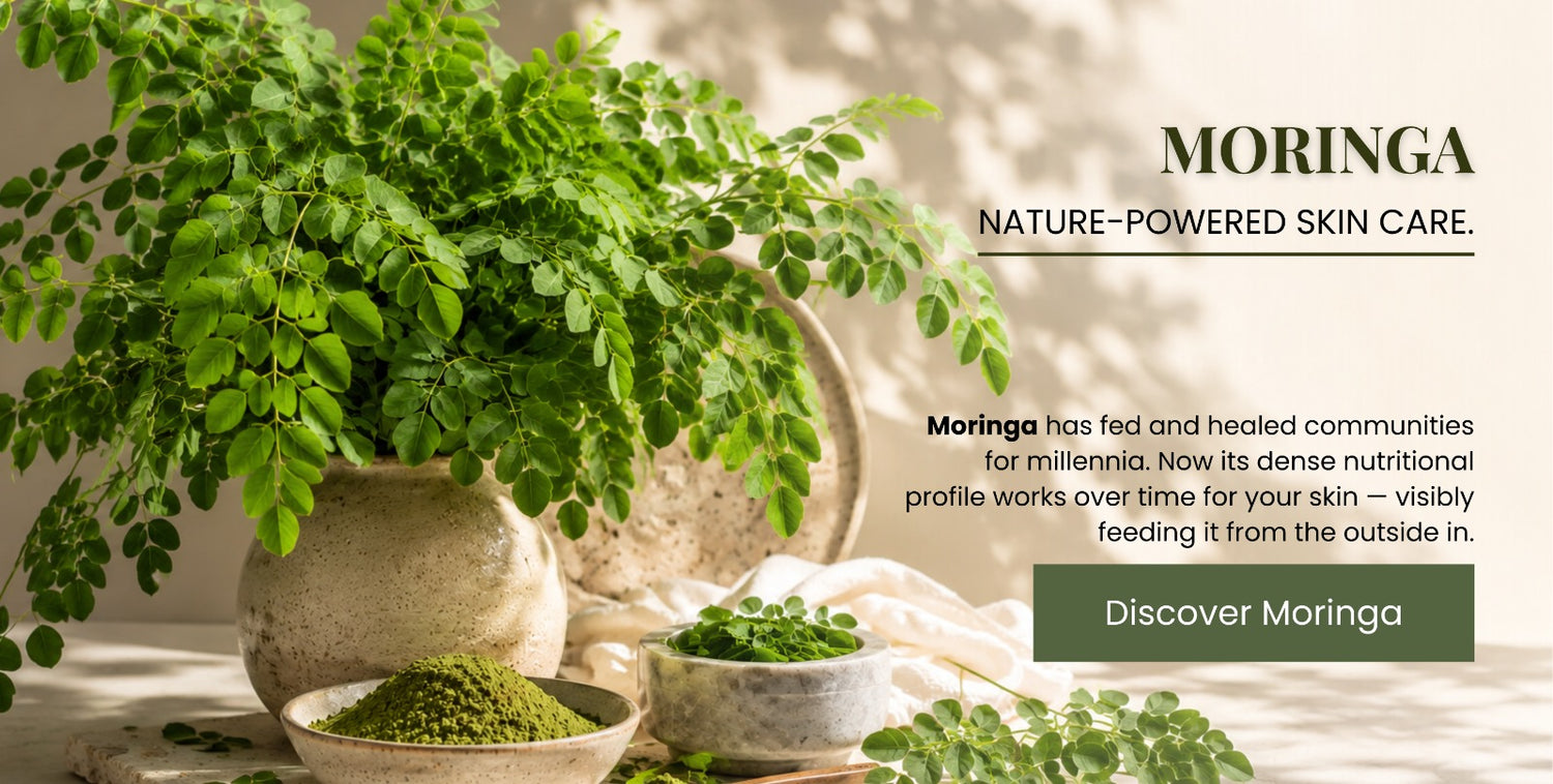 Navavedam Wellness