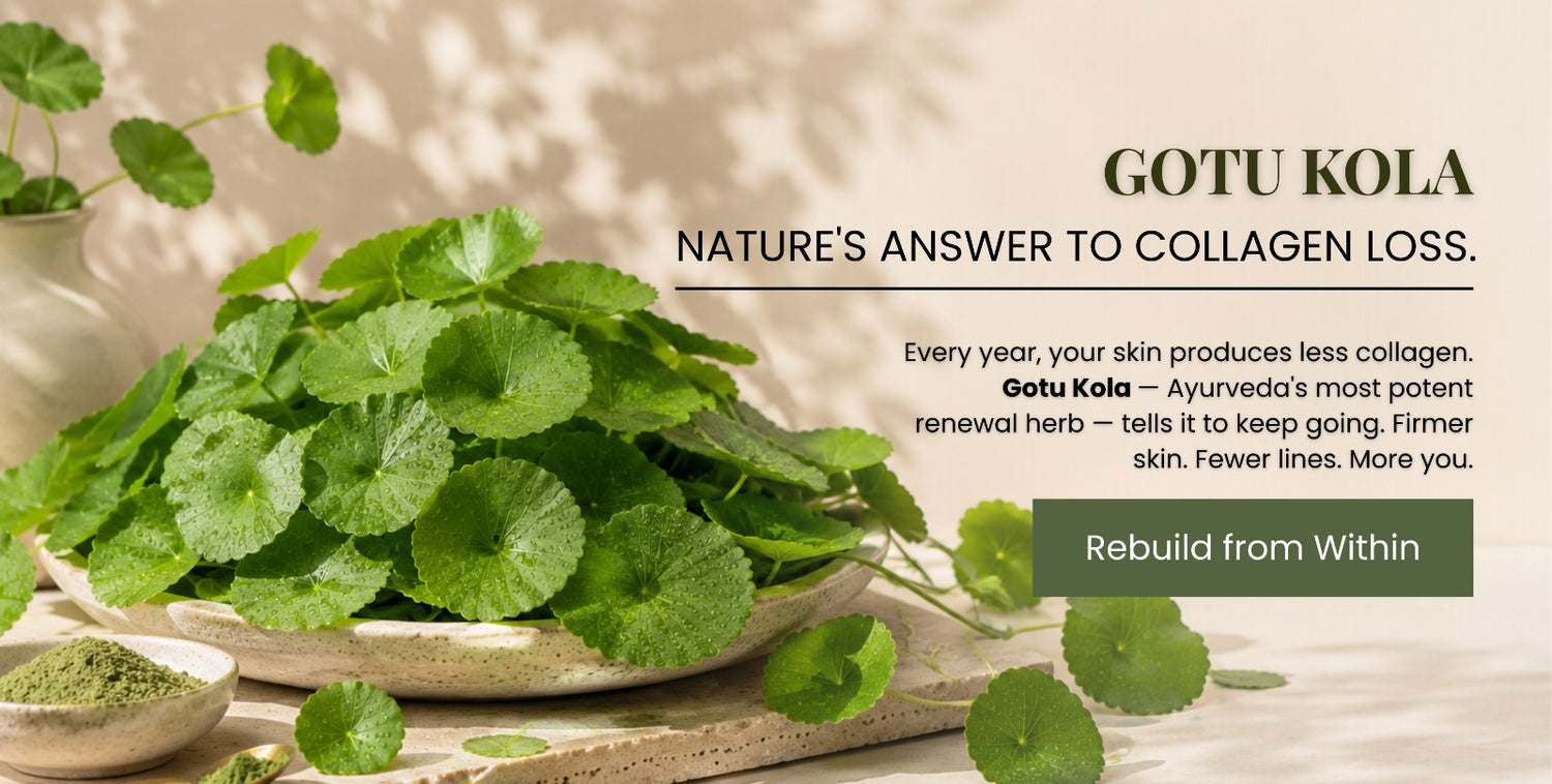 Navavedam Wellness